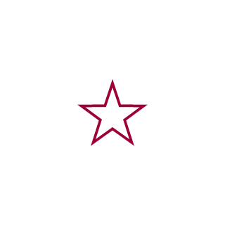 denVladivostok's emblem