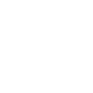 S1ron25's emblem