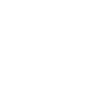 LeonValerio's emblem