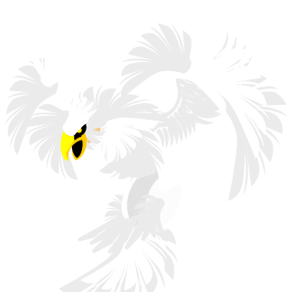 oMZ96o's emblem