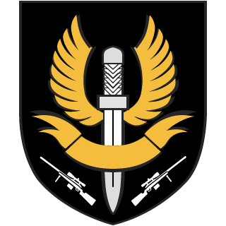 lN0M4Dl's emblem