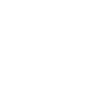 Webdez01's emblem