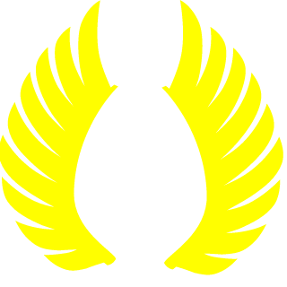 warrior3009's emblem