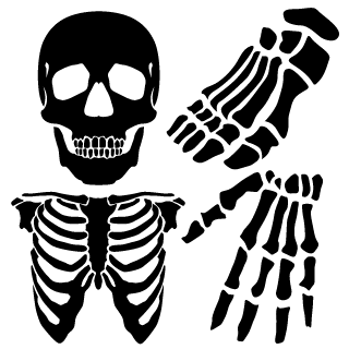 -Raay-8921's emblem