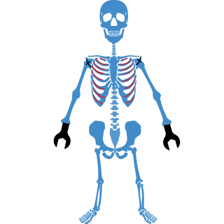 dorsh122's emblem