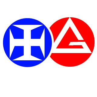 Flip80's emblem