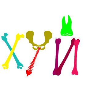 TrueDiscreto's emblem