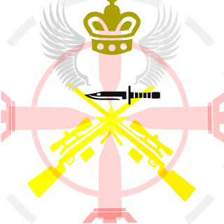 galatasaray1907's emblem