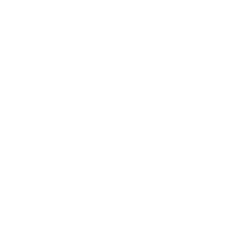 BHZNero's emblem