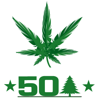 Ayvvo's emblem