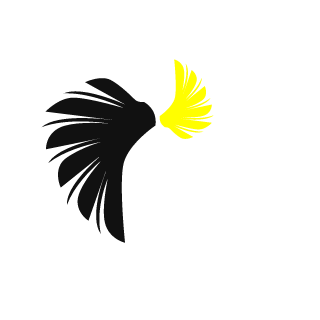 Xnightvision007's emblem