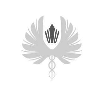 -V4V-Sast0w's emblem