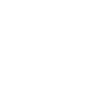 EmeNX's emblem
