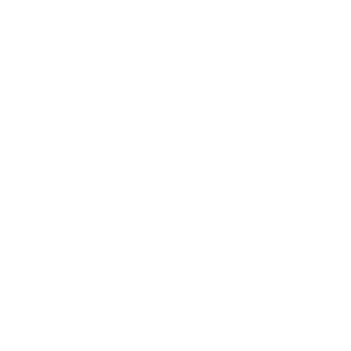 Name_Ro11's emblem