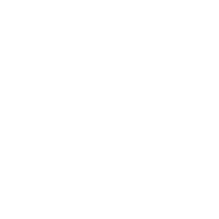 lifetax's emblem