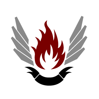Meridion100's emblem