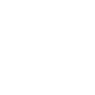 npc2010's emblem