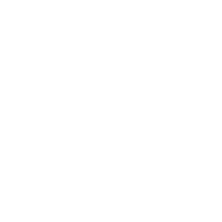 DV OneLEG's emblem