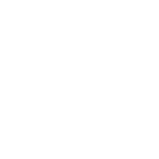 Flurry64's emblem