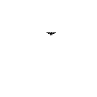 Flussmaster's emblem