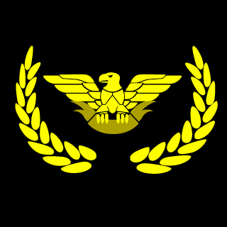 CrazySunBeach's emblem