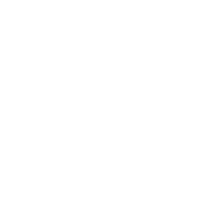 Strong_N_F's emblem