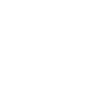Lotnicza's emblem