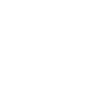 TurtleTurtle537's emblem