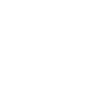 13Farias's emblem