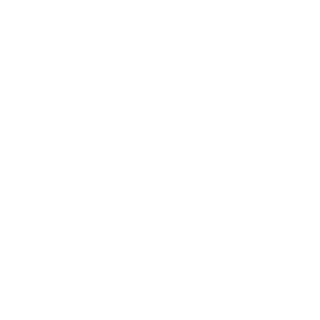 spawneerx's emblem