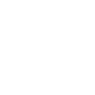 fusilerodavid's emblem