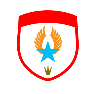ninja9000000's emblem