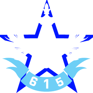 72nd_Skinner's emblem