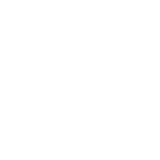 DavDestroyer's emblem
