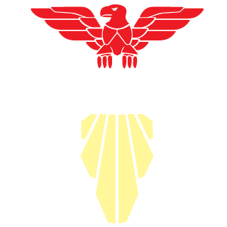 boomergaming911's emblem