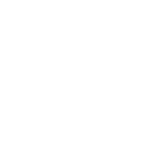 Possa80's emblem