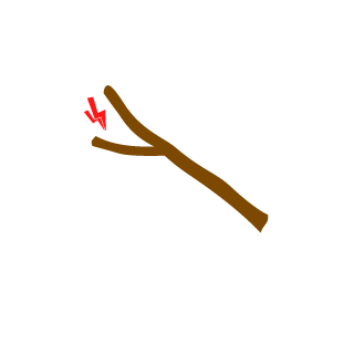 sebastienjeanpau's emblem