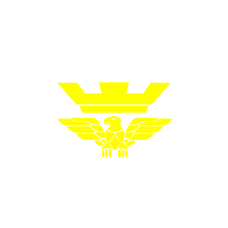 96Nicola96's emblem