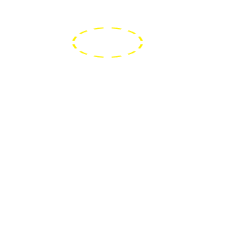 010Saint's emblem