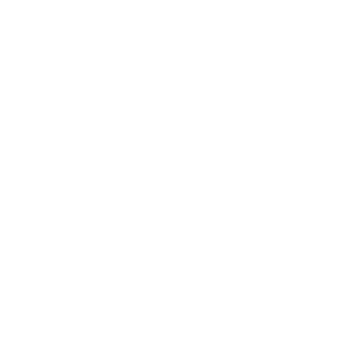 borisDucat's emblem