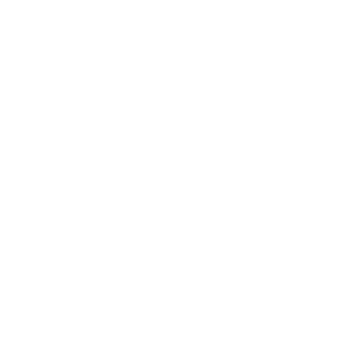 BabaYaga1902's emblem