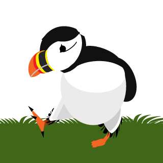 Puffin96's emblem