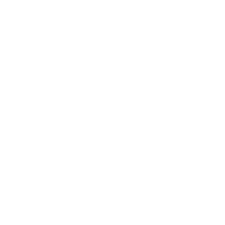 IESA13's emblem