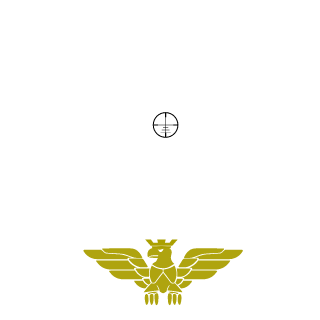 R4v0N's emblem