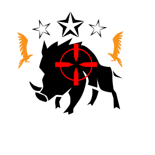BIazedEmber's emblem