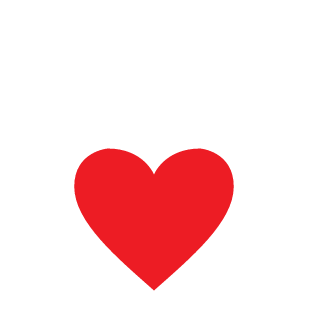 Ace fighters's emblem