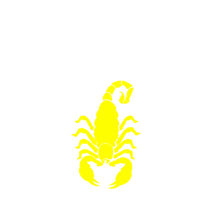 HacksawRidge17's emblem