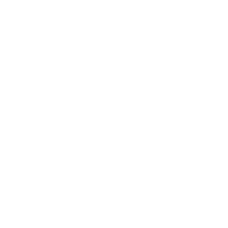 RommelsRules's emblem