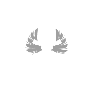 Stoogy266's emblem
