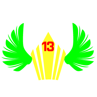 IgorDarkWolf13's emblem